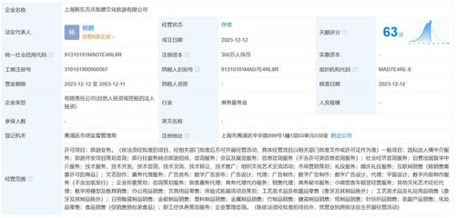 新东方文旅在上海成立新公司